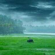 खूबसूरती