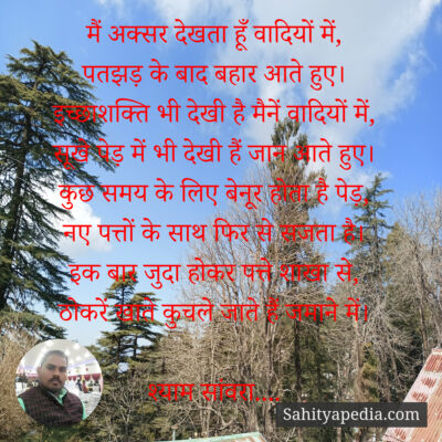 सूखे पत्ते