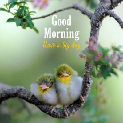 जानवर और आदमी में फर्क