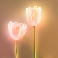 दोस्ती...