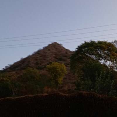 नेता के बोल