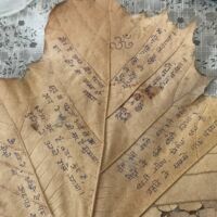 संग – संग