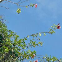 वो पिता था जो मेरी खातिर....