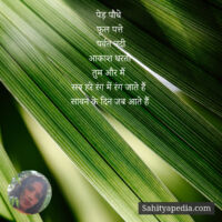 पेड़ पौधे