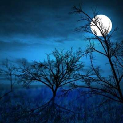 ✍️काही आठवणी स्मरतांना