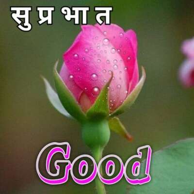 प्रिय डाक्टर साहब