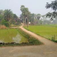 “ मैथिल क जादुई तावीज़ “ (संस्मरण )