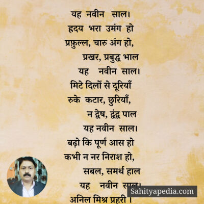 यह नवीन साल।