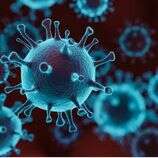 कोरोना दोहा एकादशी