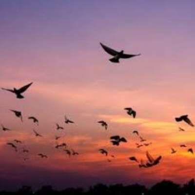 .✍️साथीला तूच हवे✍️