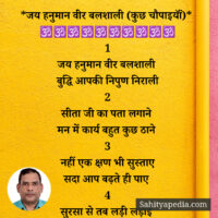 *जय हनुमान वीर बलशाली (कुछ चौपाइयॉं)*
