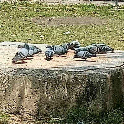 चलती है जिंदगी