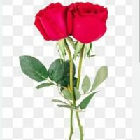 सुरक्षित भविष्य