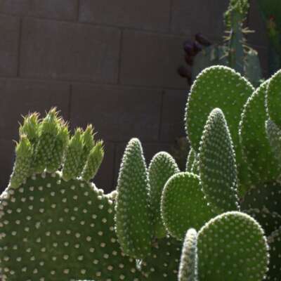 रेतीले तपते गर्म रास्ते