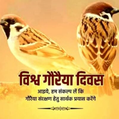दुनिया में पहला विश्व गौरैया दिवस 20 मार्च 2010 को मनाया गया