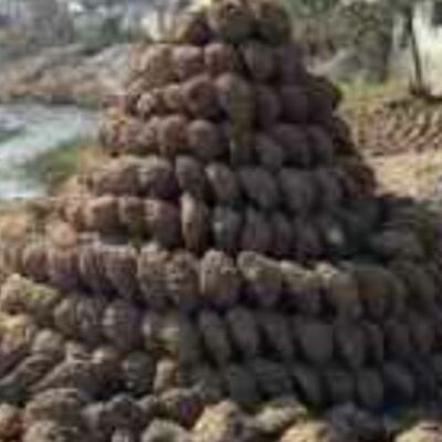 उपला भाई