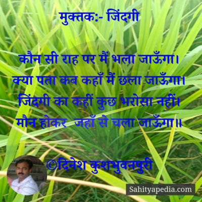 मुक्तक:- जिंदगी