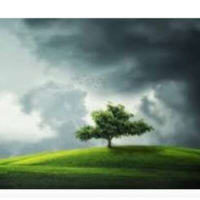 निज सुरक्षित भावी