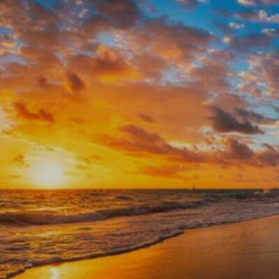 A Dream In The Oceanfront