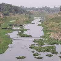 आखिर तेरे इस हाल का, असल कौन जिम्मेदार है…