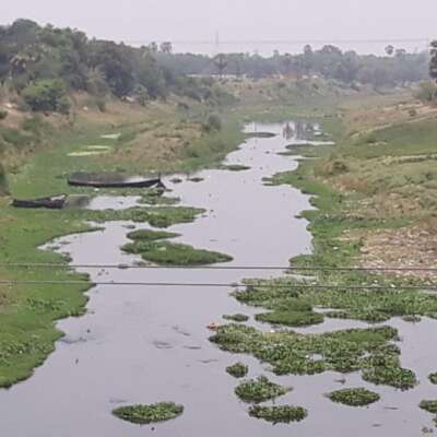 आखिर तेरे इस हाल का, असल कौन जिम्मेदार है…