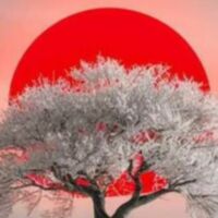 आडम्बरी पाखंड