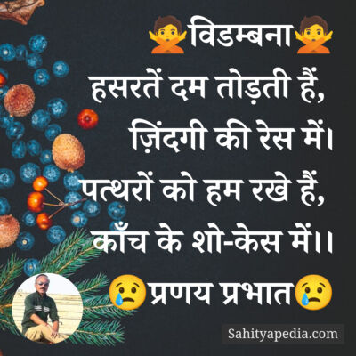 🙅विडम्बना🙅