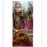 *चॉंदीवाला मंदिर में भव्य तुलसी-विवाह*