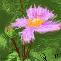 दिल खोल कर रखो