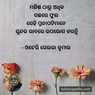 ମଣିଷ ଠାରୁ ଅଧିକ