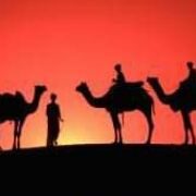 ना मानी हार