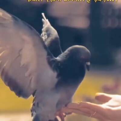 प्रकृति का प्रकोप