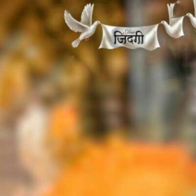 जिंदगी के कुछ कड़वे सच