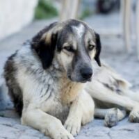 उसमें भी जीवन होता है