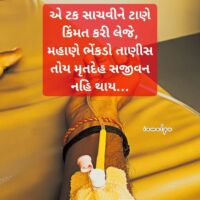 એ ટક સાચવીને ટાણે કિંમત કરી લેજે, મહાણે ભેંકડો તાણીસ તોય મૃતદેહ સજીવન નહિ થાય…