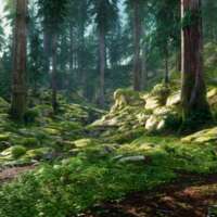 कुदरत से मिलन , अद्धभुत मिलन।