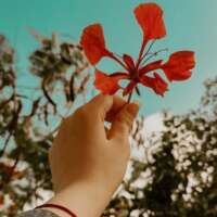 कर सत्य की खोज