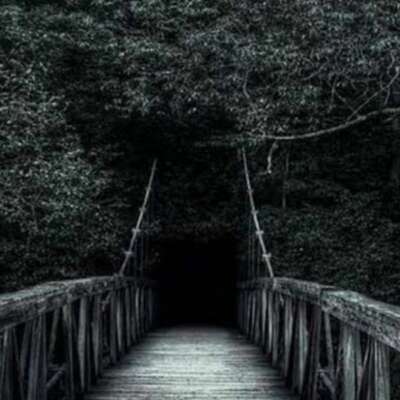 ✍️मंज़िल की चाहत ✍️