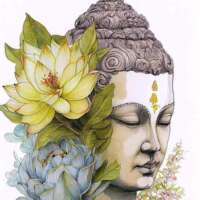 बुद्ध धम्म में चलें