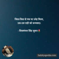 जिस-जिस से पथ पर स्नेह मिला,