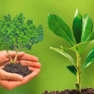 चली जाऊं जब मैं इस जहां से.....