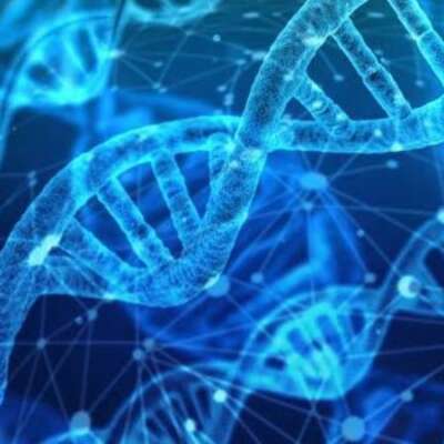 डीएनए की गवाही