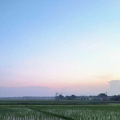 जो झूठ है वहीं सच मानना है...