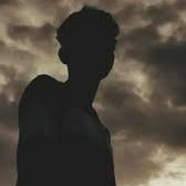 The Brave Little Turtle