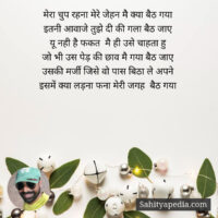 मेरा चुप रहना मेरे जेहन मै क्या बैठ गया