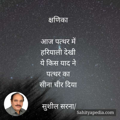 क्षणिका