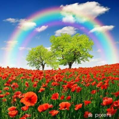 प्रकृति का उपहार- इंद्रधनुष