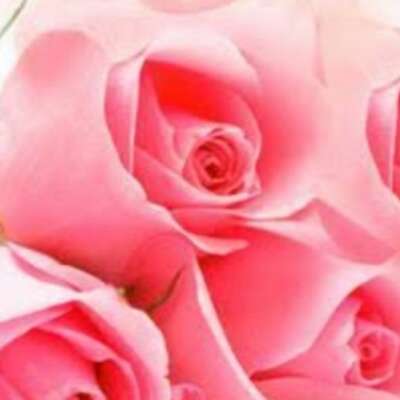 ✍️छांव और धुप✍️