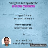 *कागभुशुंडी जी थे ज्ञानी (चौपाइयॉं)*