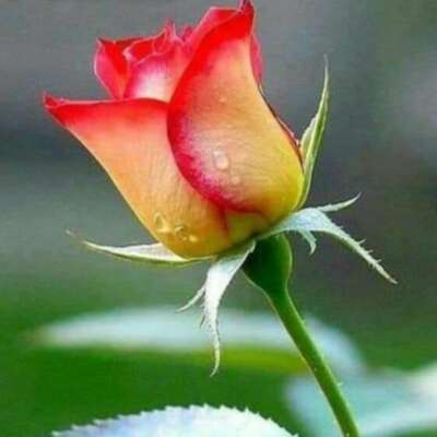 सब वर्ताव पर निर्भर है